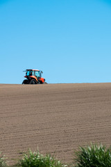 Obraz premium 春の畑と青空