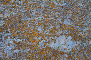 Cement or concrete texture 