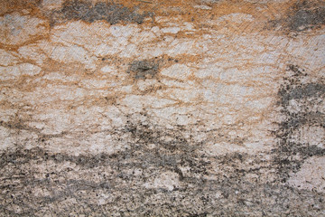 Cement or concrete texture 