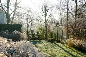 Winter at the pond in natural beautiful garden. A landscape view on a summer morning in frost &...