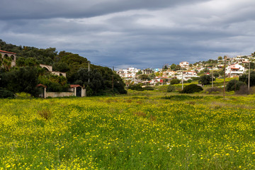 Mountain village and flowering meadow in the overcast day(Greece, island Salamis) © TETYANA