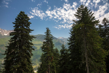 Mountains and nature of the North Caucasus, beautiful view of the mountain gorge