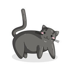 Vector Character of British Shorthair Cat in Kawaii Style. Cute Cartoon Kid Character. Funny Kitten isolated on White Background. Sticker of Kawaii Animal, Pet. Flat design. Usable for Children's Book