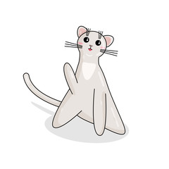 Vector Character of Burmilla Cat in Kawaii Style. Cute Cartoon Kid Character. Funny Kitten isolated on White Background. Sticker of Kawaii Animal, Pet. Flat design. Usable for Children's Book