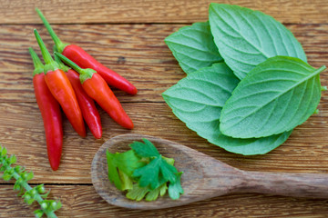 Red hot chili pepper and basil leaves wood background
