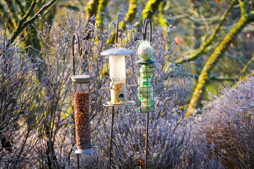 Bird feeders with mixed seeds in beautiful garden during frozen winter. Nesting box with feed grains and cereal for birds during winter season in frozen garden