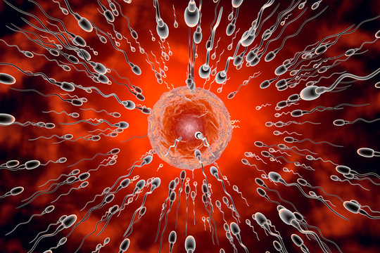 D Rendered Illustration, visualization of sperm cells racing to a egg to fertilize