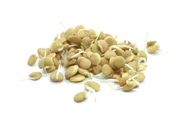 Heap of sprouted lentil seeds isolated on white background