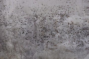 gray stone background from dirty concrete basement wall