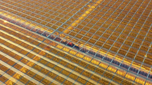 Aerial look-down view of the industrial greenhouse (hothouse) with artificial lighting and syn flares on the glass roof