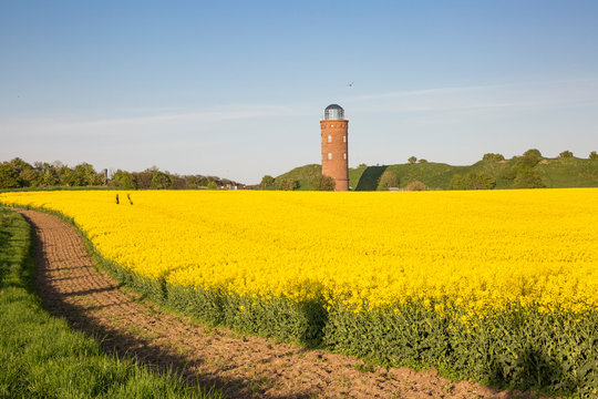 Germany, Ruegen, Cape Arkona, Positioning Tower, Peilturm and rape field