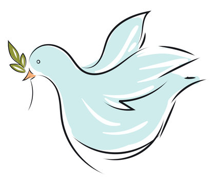 Vector illustration on white background of a light blue dove with an olive branch