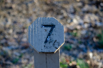 Mammoth_Springs_Arkansas