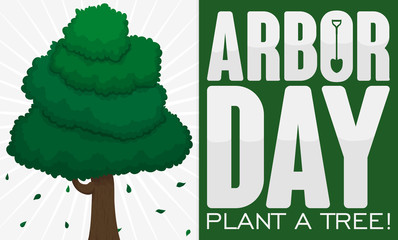 Greeting Sign with Tree to Celebrate Arbor Day, Vector Illustration