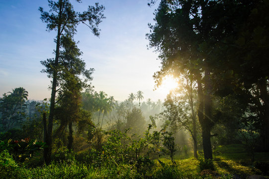 Indonesia, Java, early morning view from the Borobudur Temple Complex on the scenery around
