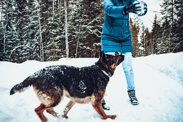 The girl plays with a German shepherd.