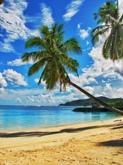 Fototapeta na wymiar Samoa Beaches and Palm Trees