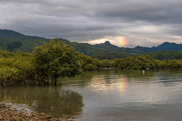 Partial rainbow over mountains in the background with mangroves growing in the foreground. Dark, cloudy sky close to sunset. Coromandel, New Zealand.