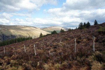 Spring in the mountains. Landscapes of Ireland.