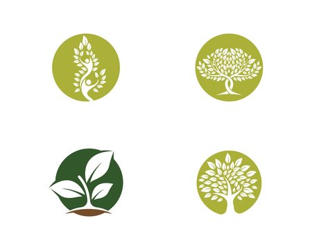 Ecology logo illustration