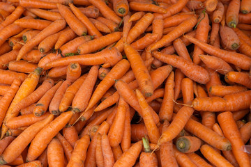 Zanahorias en feria