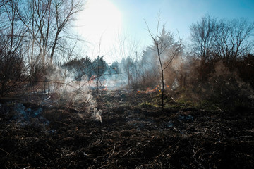 Brush Fire