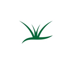 grass vector illustration template