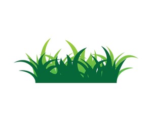 grass vector illustration template