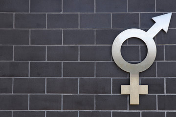 Silver metal merged gender symbol  male and female on a dark brick background with grey cement