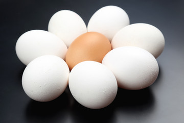 chicken eggs lie on dark background