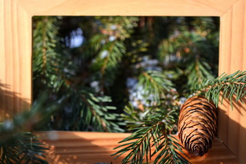 spruce cone, needles and branch in wooden square frame on blurred background of green coniferous forest with snow in bright sunny day. Horizontal frame