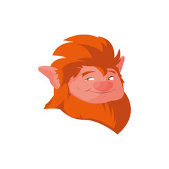 saint patrick lemprechaun head character