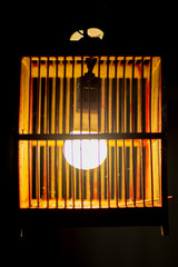lights in confinement