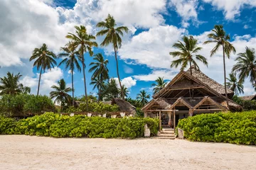 Zelfklevend Fotobehang View of the house with thatched roof located among the palm trees on Matemwe Beach, Zanzibar, Tanzania, Africa © O.TERENTEVA