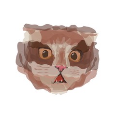 Watercolor cat face illustration vector