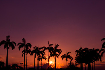 Obraz premium Sunset 6
