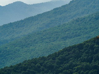 Green forest on the mountainside stretches away in layers due to lighting