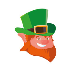 saint patrick lemprechaun head character