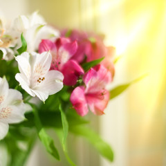 Obraz premium Pink and white lily flowers on blurred sun rays background close up, soft focus flower arrangement in bright morning golden sunshine light, beautiful holiday artistic sunny floral image, copy space