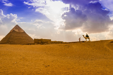 Camel and Great Egyptian Pyramid at Giza
