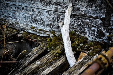 decaying wagon