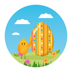 happy easter chicken