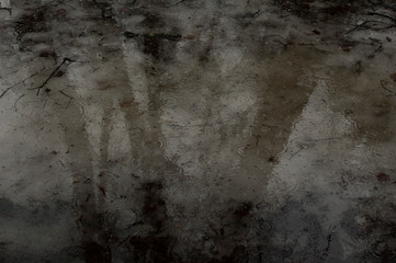 puddle
