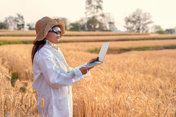 Naklejka na ściany i meble Asian woman agronomist in white coat examining wheat yields in field