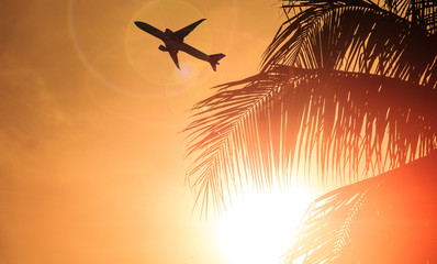 Close up coconut or palm tree at sunshine or sunset background with airplane flying in the sky. Travel concept.
