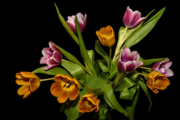 tulips bouquet orange magenta black background