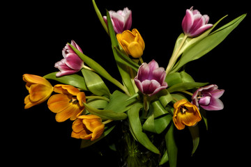 tulips bouquet orange magenta black background