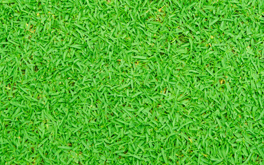 Green lawn