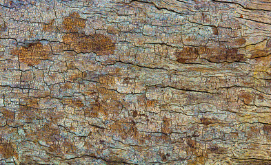 wood