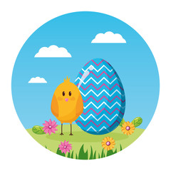 happy easter chicken